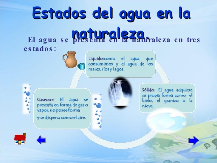 Importancia Del Agua Para Niños De Primaria Varios Niños