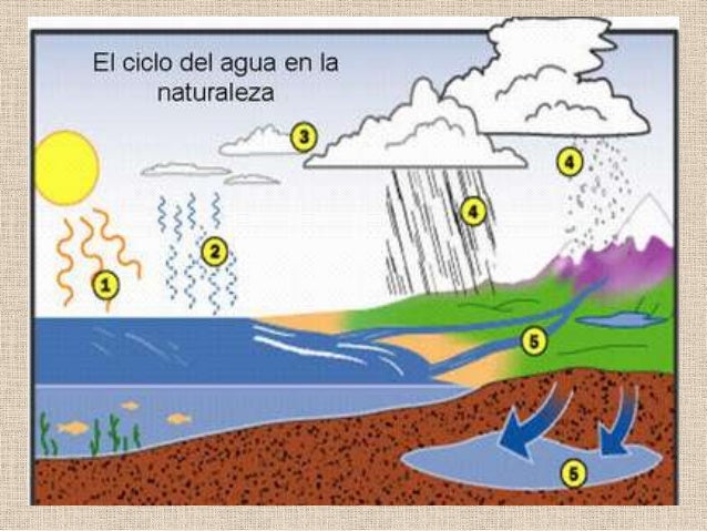 Resultado de imagen de cambios de estado ciclo del agua