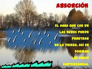 absorción


El agua que cae de
  las nubes puede
          penetrar
en la tierra. Así se
           forman
         las aguas
    subterráneas.
 