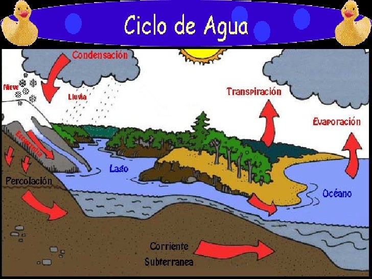 El ciclo del agua josé 5º b