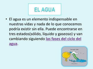 • El agua es un elemento indispensable en 
nuestras vidas y nada de lo que conocemos 
podría existir sin ella. Puede encontrarse en 
tres estados(sólido, líquido y gaseoso) y van 
cambiando siguiendo las fases del ciclo del 
agua. 
 