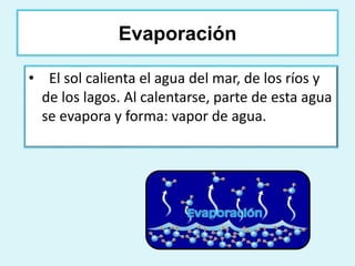 Evaporación 
• El sol calienta el agua del mar, de los ríos y 
de los lagos. Al calentarse, parte de esta agua 
se evapora y forma: vapor de agua. 
 