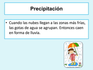 Precipitación 
• Cuando las nubes llegan a las zonas más frías, 
las gotas de agua se agrupan. Entonces caen 
en forma de lluvia. 
 