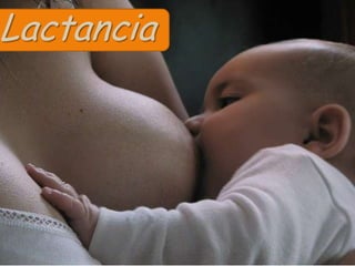 Lactancia
 