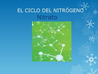 EL CICLO DEL NITRÓGENO
Nitrato
 
