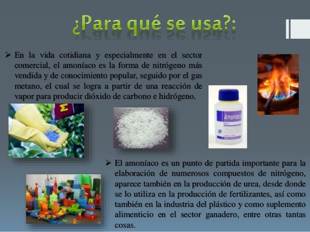 El ciclo del nitrogeno