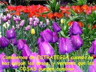 Cambiemos de ESTRATEGIA cuando no nos salgan las cosas, y veremos que las COSAS pueden cambiar. 