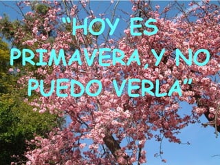 “ HOY ES PRIMAVERA,Y NO PUEDO VERLA” 