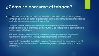 ¿Cómo se consume el tabaco?
 La forma más usual para el consumo del tabaco es fumarlo en cigarrillos.
También se fuma en puros o pipa; otras formas de consumo son masticarlo o
aspirarlo aunque no son muy frecuentes.
De igual forma, la nicotina también puede producir efectos sedantes,
dependiendo de la cantidad que se fume y de la respuesta del organismo
del fumador al tabaco.
Al fumar tabaco la nicotina se distribuye con rapidez en el organismo,
llegando al cerebro en 10 segundos después de la inhalación.
Inmediatamente después de la exposición a la nicotina, se provoca en el
fumador un incremento en la presión sanguínea, la respiración y el ritmo
cardiaco.
 