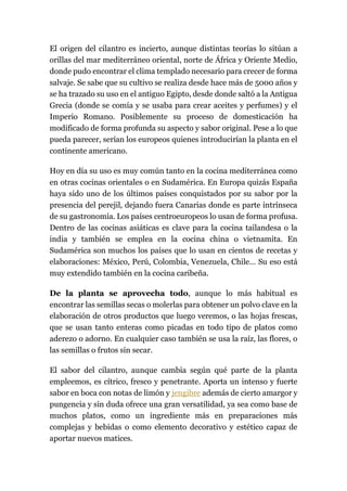 El origen del cilantro es incierto, aunque distintas teorías lo sitúan a
orillas del mar mediterráneo oriental, norte de África y Oriente Medio,
donde pudo encontrar el clima templado necesario para crecer de forma
salvaje. Se sabe que su cultivo se realiza desde hace más de 5000 años y
se ha trazado su uso en el antiguo Egipto, desde donde saltó a la Antigua
Grecia (donde se comía y se usaba para crear aceites y perfumes) y el
Imperio Romano. Posiblemente su proceso de domesticación ha
modificado de forma profunda su aspecto y sabor original. Pese a lo que
pueda parecer, serían los europeos quienes introducirían la planta en el
continente americano.
Hoy en día su uso es muy común tanto en la cocina mediterránea como
en otras cocinas orientales o en Sudamérica. En Europa quizás España
haya sido uno de los últimos países conquistados por su sabor por la
presencia del perejil, dejando fuera Canarias donde es parte intrínseca
de su gastronomía. Los países centroeuropeos lo usan de forma profusa.
Dentro de las cocinas asiáticas es clave para la cocina tailandesa o la
india y también se emplea en la cocina china o vietnamita. En
Sudamérica son muchos los países que lo usan en cientos de recetas y
elaboraciones: México, Perú, Colombia, Venezuela, Chile… Su eso está
muy extendido también en la cocina caribeña.
De la planta se aprovecha todo, aunque lo más habitual es
encontrar las semillas secas o molerlas para obtener un polvo clave en la
elaboración de otros productos que luego veremos, o las hojas frescas,
que se usan tanto enteras como picadas en todo tipo de platos como
aderezo o adorno. En cualquier caso también se usa la raíz, las flores, o
las semillas o frutos sin secar.
El sabor del cilantro, aunque cambia según qué parte de la planta
empleemos, es cítrico, fresco y penetrante. Aporta un intenso y fuerte
sabor en boca con notas de limón y jengibre además de cierto amargor y
pungencia y sin duda ofrece una gran versatilidad, ya sea como base de
muchos platos, como un ingrediente más en preparaciones más
complejas y bebidas o como elemento decorativo y estético capaz de
aportar nuevos matices.
 