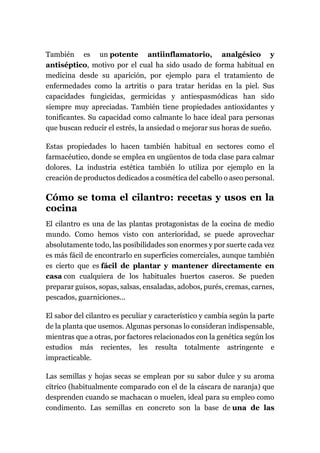 También es un potente antiinflamatorio, analgésico y
antiséptico, motivo por el cual ha sido usado de forma habitual en
medicina desde su aparición, por ejemplo para el tratamiento de
enfermedades como la artritis o para tratar heridas en la piel. Sus
capacidades fungicidas, germicidas y antiespasmódicas han sido
siempre muy apreciadas. También tiene propiedades antioxidantes y
tonificantes. Su capacidad como calmante lo hace ideal para personas
que buscan reducir el estrés, la ansiedad o mejorar sus horas de sueño.
Estas propiedades lo hacen también habitual en sectores como el
farmacéutico, donde se emplea en ungüentos de toda clase para calmar
dolores. La industria estética también lo utiliza por ejemplo en la
creación de productos dedicados a cosmética del cabello o aseo personal.
Cómo se toma el cilantro: recetas y usos en la
cocina
El cilantro es una de las plantas protagonistas de la cocina de medio
mundo. Como hemos visto con anterioridad, se puede aprovechar
absolutamente todo, las posibilidades son enormes y por suerte cada vez
es más fácil de encontrarlo en superficies comerciales, aunque también
es cierto que es fácil de plantar y mantener directamente en
casa con cualquiera de los habituales huertos caseros. Se pueden
preparar guisos, sopas, salsas, ensaladas, adobos, purés, cremas, carnes,
pescados, guarniciones...
El sabor del cilantro es peculiar y característico y cambia según la parte
de la planta que usemos. Algunas personas lo consideran indispensable,
mientras que a otras, por factores relacionados con la genética según los
estudios más recientes, les resulta totalmente astringente e
impracticable.
Las semillas y hojas secas se emplean por su sabor dulce y su aroma
cítrico (habitualmente comparado con el de la cáscara de naranja) que
desprenden cuando se machacan o muelen, ideal para su empleo como
condimento. Las semillas en concreto son la base de una de las
 
