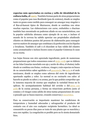 especias más apreciadas en cocina y sello de identidad de la
cultura india, el curry. También forman parte de otras preparaciones
como el popular pan ruso Bordinski (pan de centeno), donde se emplea
tanto en grano como molido para conseguir un amargor muy singular o
el Ras-al-hanout típico de Marruecos, donde se combina con otras
muchas especias. Las elaboraciones con carne, embutidos o chacinas
también han encontrado un poderoso aliado en sus características, con
la popular salchicha alemana como ejemplo de su uso, e incluso el
mundo de la cerveza ha sabido apreciar sus propiedades añadiendo
cilantro en distintos puntos del proceso de elaboración para conseguir
nuevos matices de amargor que combinan a la perfección con los lúpulos
y levaduras. También el café o el chocolate se han valido del cilantro
como aromatizador e incluso licores como el popular Cointreau lo usan
en su receta.
Las hojas frescas son otro apreciado ingrediente, parte de numerosas
preparaciones que todos conocemos como el mojo verde que se elabora
en las Islas Canarias mezclado con ajo y aceite de oliva, el chutney indio
donde se combina con frutas, verduras, vinagre y más especias en busca
de su característico sabor agridulce o el guacamole, los tacos o el mole
mexicanos, donde se emplea como aderezo del resto de ingredientes
aportando sapidez y color. Lo normal es no cocinarlo con calor: al
hacerlo se pierde su sabor y su aroma, por lo que podrás comprobar que
la inmensa mayoría de recetas que emplean la variedad fresca no lo
aplican. Es acompañamiento habitual del ceviche o del arroz con
pollo de la cocina peruana, y forma un triunvirato perfecto junto al
comino y el vinagre como adobo de otras tantas preparaciones de carne
o pescado que se busca macerar, creando conservas y encurtidos.
Para su conservación es importante mantener las condiciones de
temperatura y humedad adecuadas y salvaguardar el producto del
contacto con el aire con cualquier recipiente hermético. Lo ideal es
consumirlo en pocos días pues se trata de una planta que se marchita y
seca con rapidez. La congelación es posible pero no le sienta demasiado
bien.
 