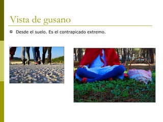 Vista de gusano Desde el suelo. Es el contrapicado extremo. 