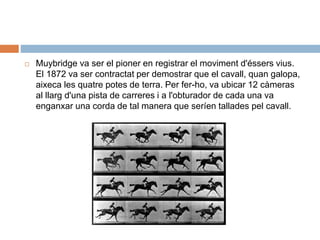  Muybridge va ser el pioner en registrar el moviment d'éssers vius.
El 1872 va ser contractat per demostrar que el cavall, quan galopa,
aixeca les quatre potes de terra. Per fer-ho, va ubicar 12 càmeras
al llarg d'una pista de carreres i a l'obturador de cada una va
enganxar una corda de tal manera que seríen tallades pel cavall.
 