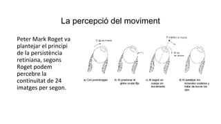 La percepció del moviment
Peter Mark Roget va
plantejar el principi
de la persistència
retiniana, segons
Roget podem
percebre la
continuïtat de 24
imatges per segon.
 