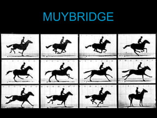 MUYBRIDGE 