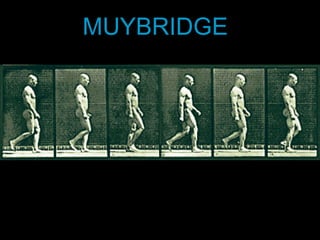 MUYBRIDGE 