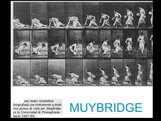 MUYBRIDGE 