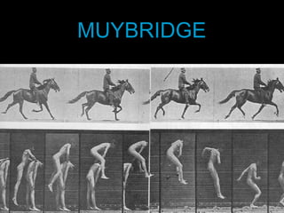 MUYBRIDGE 