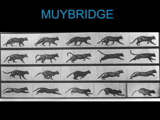 MUYBRIDGE 