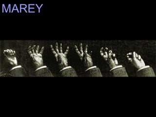 MAREY 