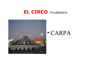EL CIRCO .  Vocabulario ,[object Object]