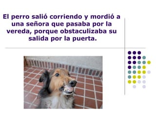 El perro salió corriendo y mordió a
una señora que pasaba por la
vereda, porque obstaculizaba su
salida por la puerta.
 