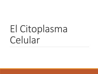El Citoplasma
Celular
 