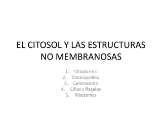EL CITOSOL Y LAS ESTRUCTURAS
NO MEMBRANOSAS
1. Citoplasma
2. Citoesqueleto
3. Centrosoma
4. Cilios y flagelos
5. Ribosomas
 