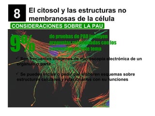 8 El citosol y las estructuras no
membranosas de la célula
CONSIDERACIONES SOBRE LA PAU
9%
de pruebas de PAU incluyen
preguntas relacionadas con los
contenidos de este tema
 Son frecuentes imágenes de microscopía electrónica de un
orgánulo o parte
 Se pueden incluir o pedir que elaboren esquemas sobre
estructuras celulares y relacionarlos con su funciones
 