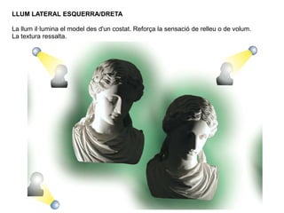 LLUM LATERAL ESQUERRA/DRETA
La llum il·lumina el model des d'un costat. Reforça la sensació de relleu o de volum.
La textura ressalta.
 