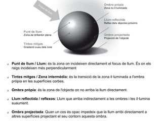  Punt de llum / Llum: és la zona on incideixen directament el focus de llum. És on els
raigs incideixen més perpendicularment
 Tintes mitges / Zona intermèdia: és la transició de la zona il·luminada a l'ombra
pròpia en les superfícies corbes.
 Ombra pròpia: és la zona de l'objecte on no arriba la llum directament.
 Llum reflectida / reflexos: Llum que arriba indirectament a les ombres i les il·lumina
suaument.
 Ombra projectada: Quan un cos és opac impedeix que la llum arribi directament a
altres superfícies projectant el seu contorn aquesta ombra.
 