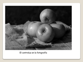 El contraluz en la fotografía
 