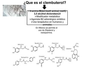 ¿Que es el clembuterol?
4-amino-B(tert-butil amino) metil)-
3,5 alcohol diclorobencil
Modificador metabólico
Agonista B2 adrenérgico sintético
Uso terapéutico en humanos y
animales
En México se permite el
uso de Zilpaterol y
ractopamina.
 