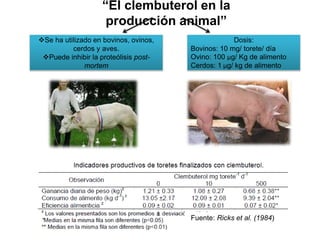 “El clembuterol en la
producción animal”
Se ha utilizado en bovinos, ovinos,
cerdos y aves.
Puede inhibir la proteólisis post-
mortem
Fuente: Ricks et al. (1984)
Dosis:
Bovinos: 10 mg/ torete/ día
Ovino: 100 μg/ Kg de alimento
Cerdos: 1 μg/ kg de alimento
 