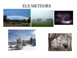 ELS METEORS 