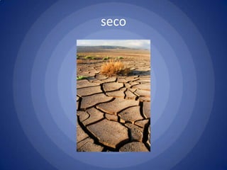 seco