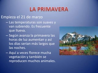 Empieza el 21 de marzo
  – Las temperaturas son suaves y
    van subiendo. Es frecuente
    que llueva.
  – Según avanza la primavera las
    horas de luz aumentan y así
    los días serian más largos que
    las noches.
  – Aquí a veces florece mucha
    vegetación y también se
    reproducen muchos animales.
 