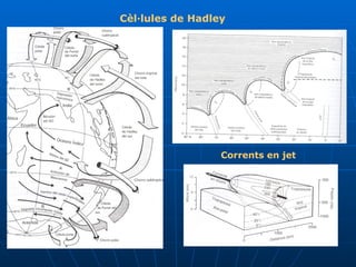 Cèl·lules de Hadley Corrents en jet 