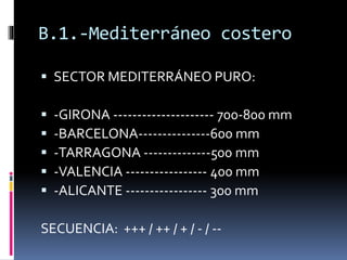 B.1.-Mediterráneo costero 
 SECTOR MEDITERRÁNEO PURO: 
 -GIRONA --------------------- 700-800 mm 
 -BARCELONA---------------600 mm 
 -TARRAGONA --------------500 mm 
 -VALENCIA ----------------- 400 mm 
 -ALICANTE ----------------- 300 mm 
SECUENCIA: +++ / ++ / + / - / -- 
 
