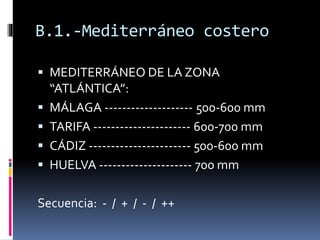 B.1.-Mediterráneo costero 
 MEDITERRÁNEO DE LA ZONA 
“ATLÁNTICA”: 
 MÁLAGA -------------------- 500-600 mm 
 TARIFA ---------------------- 600-700 mm 
 CÁDIZ ----------------------- 500-600 mm 
 HUELVA --------------------- 700 mm 
Secuencia: - / + / - / ++ 
 