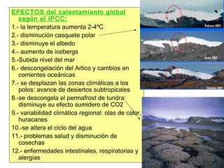 EFECTOS del calentamiento global
según el IPCC:
1.- la temperatura aumenta 2-4ºC
2.- disminución casquete polar
3.- disminuye el albedo
4.- aumento de icebergs
5.-Subida nivel del mar
6.- descongelación del Artico y cambios en
corrientes oceánicas
7.- se desplazan las zonas climáticas a los
polos: avance de desiertos subtropicales
8.-se descongela el permafrost de tundra:
disminuye su efecto sumidero de CO2
9.- variabilidad climática regional: olas de calor,
huracanes
10.-se altera el ciclo del agua
11.- problemas salud y disminución de
cosechas
12.- enfermedades intestinales, respiratorias y
alergias
 