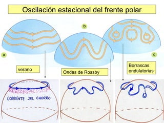 Oscilación estacional del frente polar
verano
Ondas de Rossby
Borrascas
ondulatorias
 