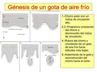 Génesis de un gota de aire frío
1.-Chorro polar con un
índice de circulación
alto.
2,3.-Progresiva ondulación
del chorro o
disminución del índice
de circulación.
4.-Rotura del chorro y
circulación de un gota
de aire fría hacia
latitudes más bajas.
5.-Aislamiento de la gota y
reconstrucción del
chorro hacia el norte.
 