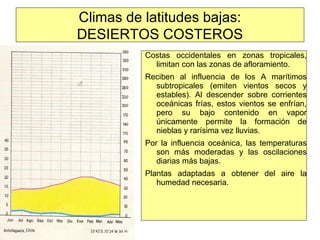 Climas de latitudes bajas:
DESIERTOS COSTEROS
Costas occidentales en zonas tropicales,
limitan con las zonas de afloramiento.
Reciben al influencia de los A marítimos
subtropicales (emiten vientos secos y
estables). Al descender sobre corrientes
oceánicas frías, estos vientos se enfrían,
pero su bajo contenido en vapor
únicamente permite la formación de
nieblas y rarísima vez lluvias.
Por la influencia oceánica, las temperaturas
son más moderadas y las oscilaciones
diarias más bajas.
Plantas adaptadas a obtener del aire la
humedad necesaria.
 