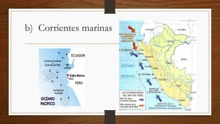 b) Corrientes marinas
 