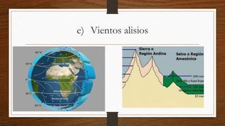 e) Vientos alisios
 