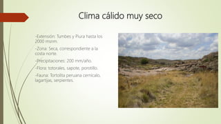 Clima cálido muy seco
-Extensión: Tumbes y Piura hasta los
2000 msnm.
-Zona: Seca, correspondiente a la
costa norte.
-Precipitaciones: 200 mm/año.
-Flora: totorales, sapote, porotillo.
-Fauna: Tortolita peruana cernícalo,
lagartijas, serpientes.
 