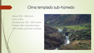 Clima templado sub-húmedo
-Altitud: 1000 – 3000 msnm.
-Zona: Andina
-Precipitaciones: 500 – 1200 mm/año.
-Relieves: Valles interandinos bajos.
-Flora: Estepas, gramíneas, huarango.
 