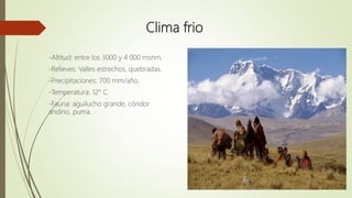 Clima frio
-Altitud: entre los 3000 y 4 000 msnm.
-Relieves: Valles estrechos, quebradas.
-Precipitaciones: 700 mm/año.
-Temperatura: 12° C.
-Fauna: aguilucho grande, cóndor
andino, puma.
 